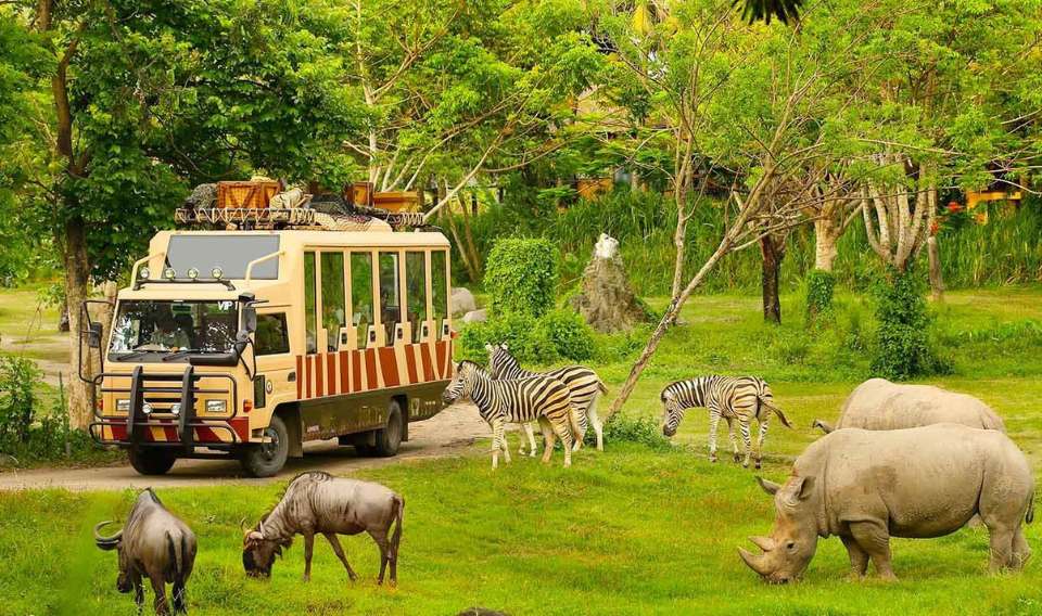 Vườn thú mở vinpear safari tại Phú Quốc