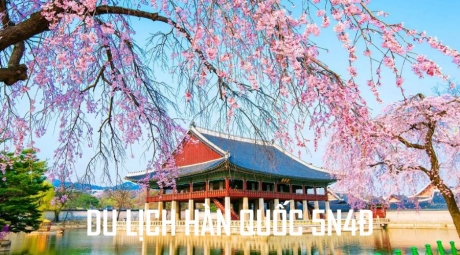 Tour Hàn Quốc 5 ngày 4 đêm: Đảo Nami - Everland – Hái Dâu – Namsan